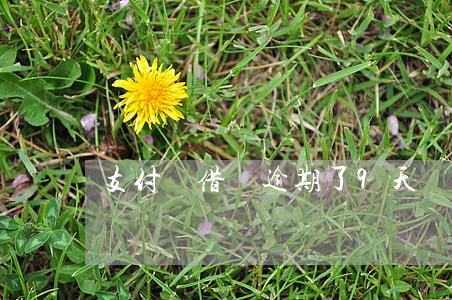 支付寶借唄逾期了9天(螞蟻借唄逾期6天)