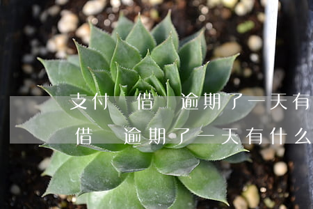 支付寶借唄逾期了一天有什么后果-支付寶借唄逾期了一天有什么后果嗎