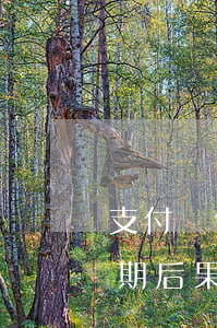 支付寶借唄逾期了一期后果(借唄逾期一個星期后果)