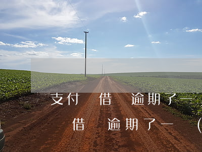 支付寶借唄逾期了一萬(wàn)多-支付寶借唄逾期了一萬(wàn)多怎么辦