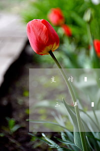 支付寶借唄逾期了三年-支付寶借唄逾期了三年會(huì)怎么樣嗎