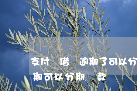 支付寶借唄逾期了可以分期嗎 支付寶借唄逾期可以分期還款嗎