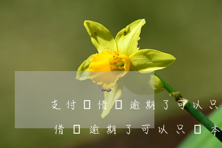 支付寶借唄逾期了可以只還本金嗎-支付寶借唄逾期了可以只還本金嗎?