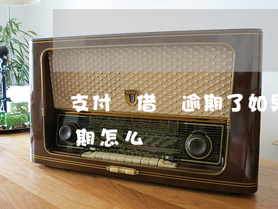 支付寶借唄逾期了如果立馬還(支付寶借唄逾期怎么辦)
