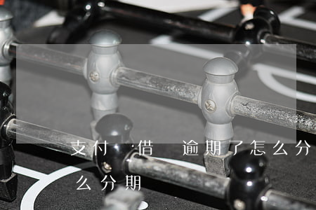 支付寶借唄逾期了怎么分期-借唄逾期了怎么分期還