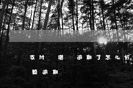 支付寶借唄逾期了怎么分期(借唄逾期在分期算逾期嗎)