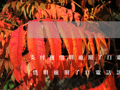 支付寶借唄逾期了打電話說要上門-支付寶借唄逾期了打電話說要上門是真的嗎