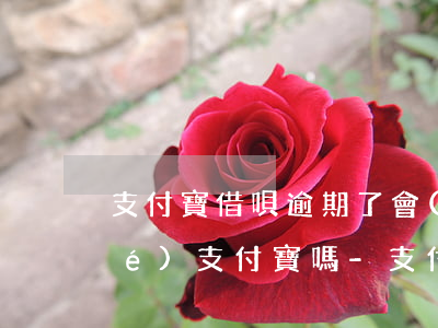 支付寶借唄逾期了會(huì)凍結(jié)支付寶嗎-支付寶借唄逾期了會(huì)凍結(jié)支付寶嗎安全嗎