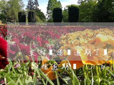 支付寶借唄逾期了會(huì)影響征信嗎（征信逾期會(huì)影響支付寶信用嗎）