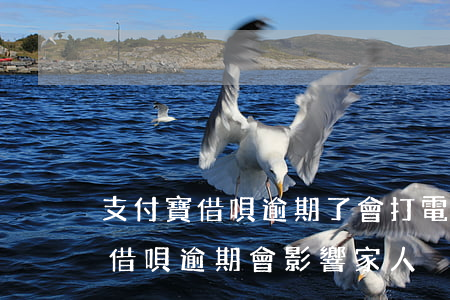 支付寶借唄逾期了會打電話給家人嗎?（支付寶借唄逾期會影響家人）