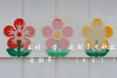 支付寶借唄逾期了有什么后果-支付寶借唄逾期不還會(huì)有什么后果?