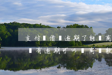 支付寶借唄逾期了能協商還款嗎(支付寶借唄沒有逾期可以協商還款嗎)