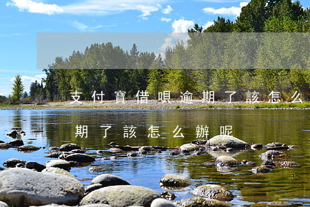 支付寶借唄逾期了該怎么辦-支付寶借唄逾期了該怎么辦呢