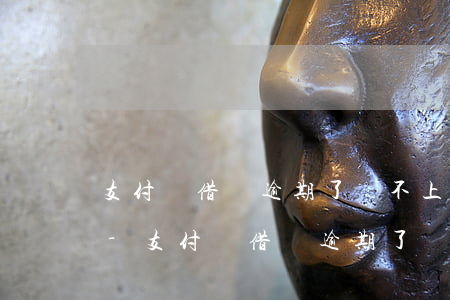 支付寶借唄逾期了還不上會(huì)怎樣-支付寶借唄逾期了還不上會(huì)怎樣呢