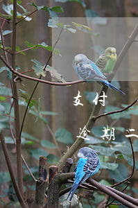 支付寶借唄逾期二天有什么影響(支付寶借唄逾期二天有什么影響)