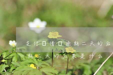 支付寶借唄逾期二天的后果-支付寶借唄逾期二天的后果是什么