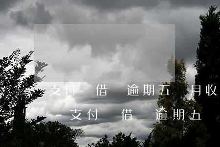 支付寶借唄逾期五個月收到了案件通知短信-支付寶借唄逾期五個月收到了案件通知短信怎么辦