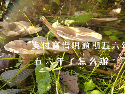 支付寶借唄逾期五六年了-支付寶借唄逾期五六年了怎么辦