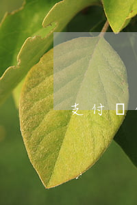 支付寶借唄逾期五年(螞蟻借唄逾期4年)