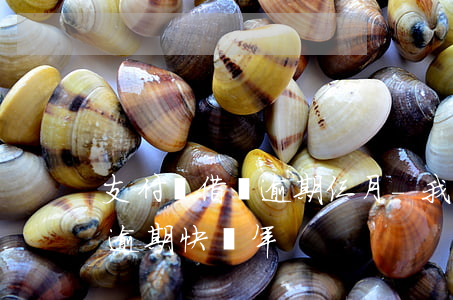 支付寶借唄逾期仨月-我支付寶的借唄三萬逾期快兩年