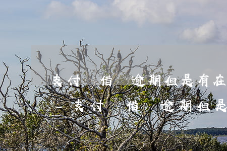 支付寶借唄逾期但是有在陸續(xù)還款-支付寶借唄逾期但是有陸續(xù)還款還會被起訴嗎