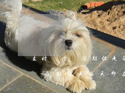 支付寶借唄逾期但是每天都在還-支付寶借唄逾期但是每天都在還款