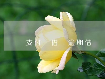 支付寶借唄逾期借錢-支付寶借唄逾期借錢