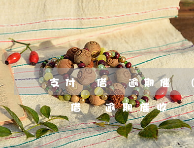 支付寶借唄逾期催費(fèi)短信-支付寶借唄逾期催收電話