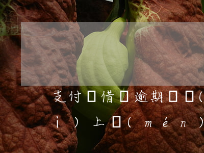支付寶借唄逾期兩個(gè)多月會(huì)上門(mén)嘛-支付寶借唄逾期兩個(gè)多月會(huì)上門(mén)嘛