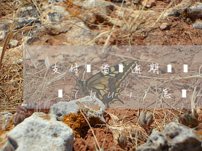 支付寶借唄逾期兩個(gè)月了被起訴后會(huì)怎樣-支付寶借唄逾期兩個(gè)月了被起訴后會(huì)怎樣處理