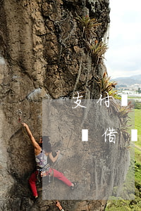支付寶借唄逾期兩天芝麻分會(huì)降嗎(借唄逾期3天芝麻下降多少)