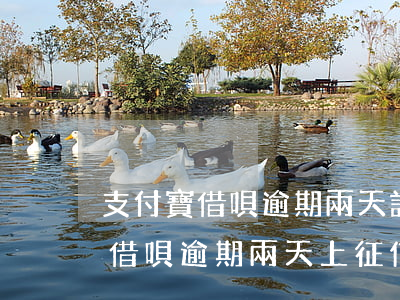 支付寶借唄逾期兩天記錄可以消嗎-支付寶借唄逾期兩天上征信么