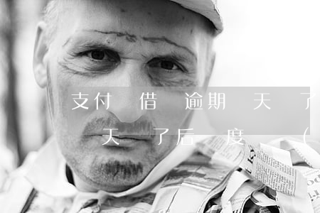 支付寶借唄逾期兩天還了-支付寶借唄逾期兩天還了后額度會關(guān)嗎