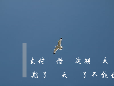 支付寶借唄逾期兩天還能用嗎 支付寶借唄逾期了幾天還了不能使用了