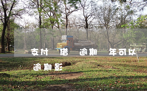 支付寶借唄逾期兩年可以買車嗎(支付寶借唄逾期影響買車嗎?)