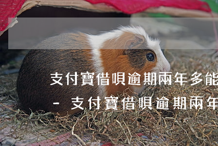 支付寶借唄逾期兩年多能不能只償還本金呢-支付寶借唄逾期兩年多能不能只償還本金呢