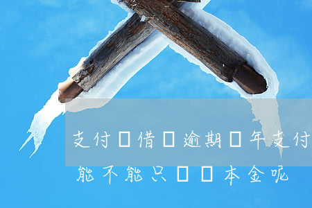 支付寶借唄逾期兩年(支付寶借唄逾期兩年多能不能只償還本金呢)