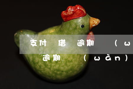 支付寶借唄逾期兩萬(wàn)-支付寶借唄逾期兩萬(wàn)會(huì)起訴嗎