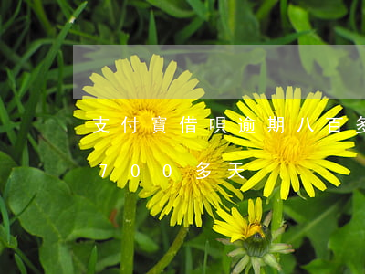 支付寶借唄逾期八百多天-支付寶借唄逾期700多天