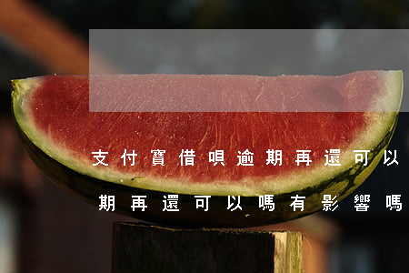 支付寶借唄逾期再還可以嗎-支付寶借唄逾期再還可以嗎有影響嗎