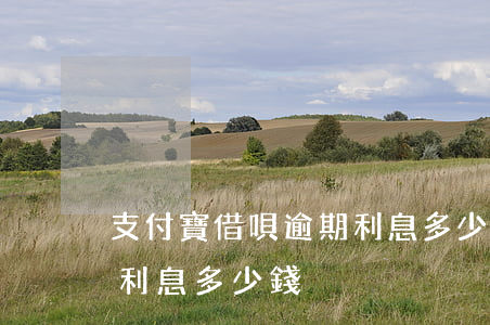 支付寶借唄逾期利息多少-支付寶借唄逾期利息多少錢