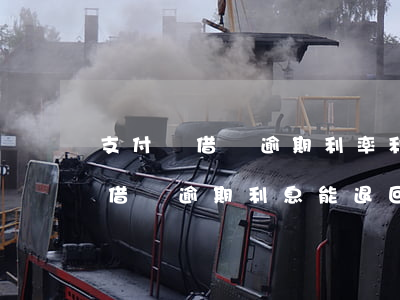 支付寶借唄逾期利率利息多少錢一天（支付寶借唄逾期利息能退回多少）