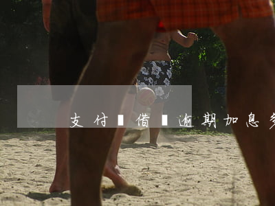 支付寶借唄逾期加息多少