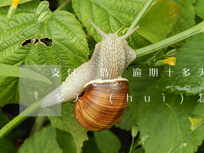 支付寶借唄逾期十多天-支付寶借唄逾期十多天會(huì)怎么樣