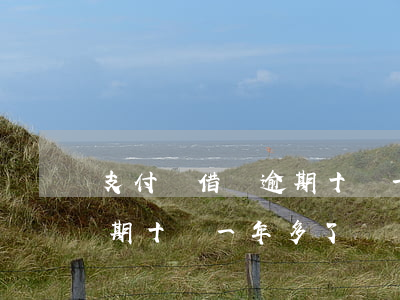 支付寶借唄逾期十萬一年多-支付寶借唄逾期十萬一年多了