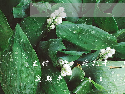 支付寶借唄逾期半個(gè)月會咋樣(借唄逾期半個(gè)月有事嗎)