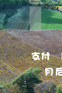 支付寶借唄逾期半個月6(支付寶借唄逾期半個月后還完還有額度嗎)