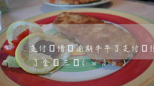 支付寶借唄逾期半年了(支付寶借唄逾期半年了,金額三萬(wàn))