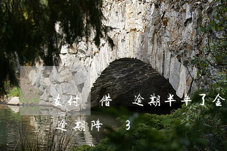 支付寶借唄逾期半年了,金額三萬（支付寶借唄逾期降額3萬）