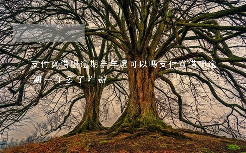支付寶借唄逾期半年還可以嗎(支付寶借唄逾期一年多了咋辦)